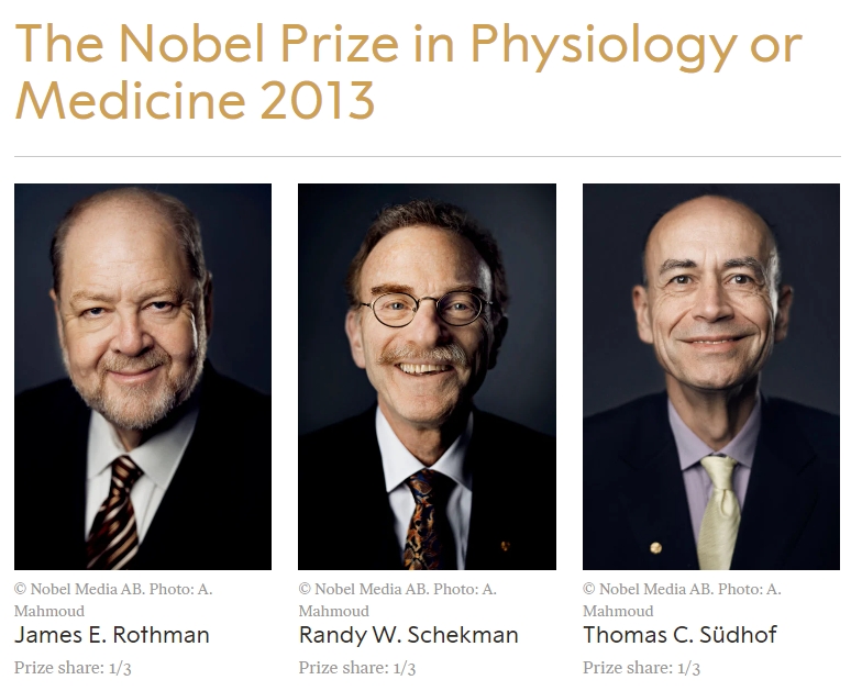 The Nobel Prize in Physiology or Medicine 2013