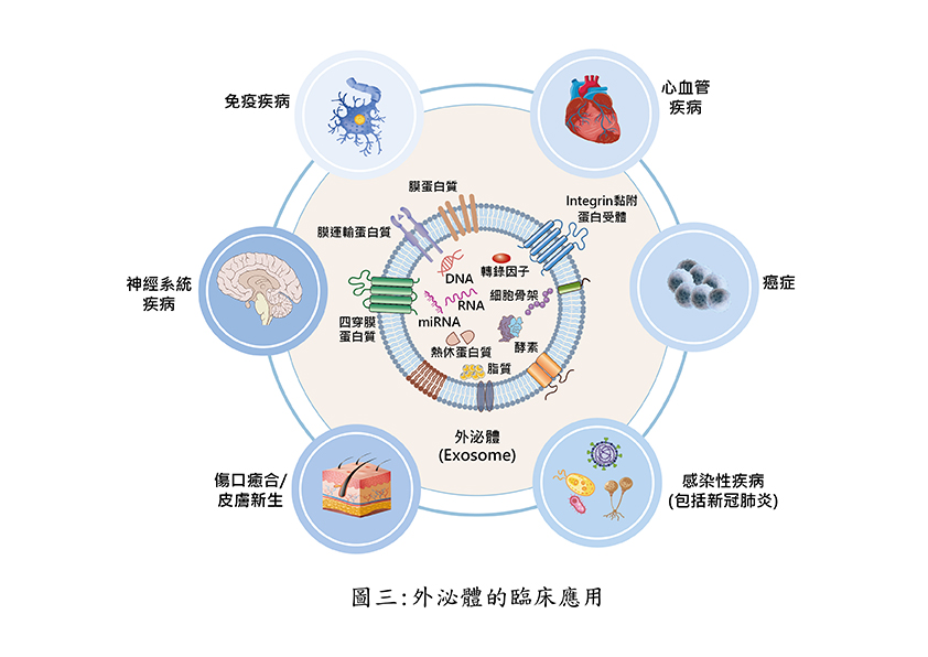 外泌體臨床應用